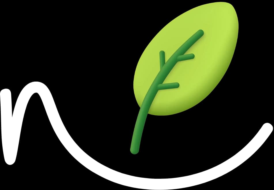 Nest Developments